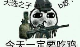 吃鸡新品爆料视频大全最新,全新玩法与角色，带你领略极致战斗体验！