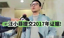 台媒小葛爆料汪小菲视频,小葛爆料引发热议